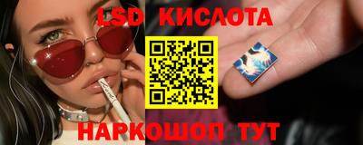прущие грибы Свободный