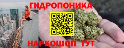 прущие грибы Свободный
