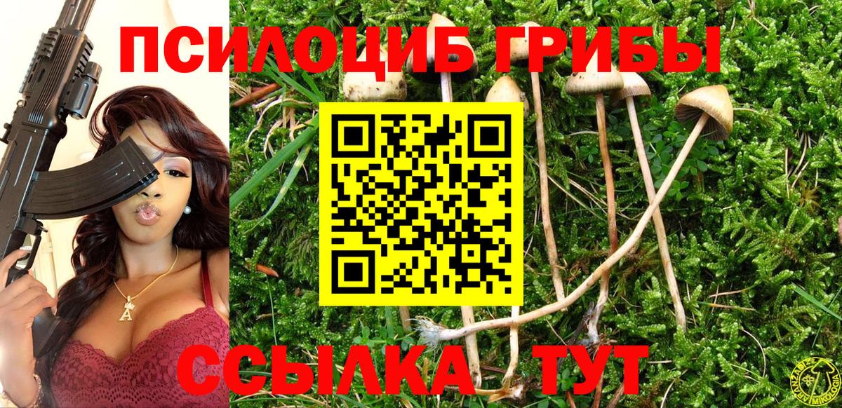 наркотики  Вход с VPN  Новоалтайск  Галлюциногенные грибы Magic Shrooms 