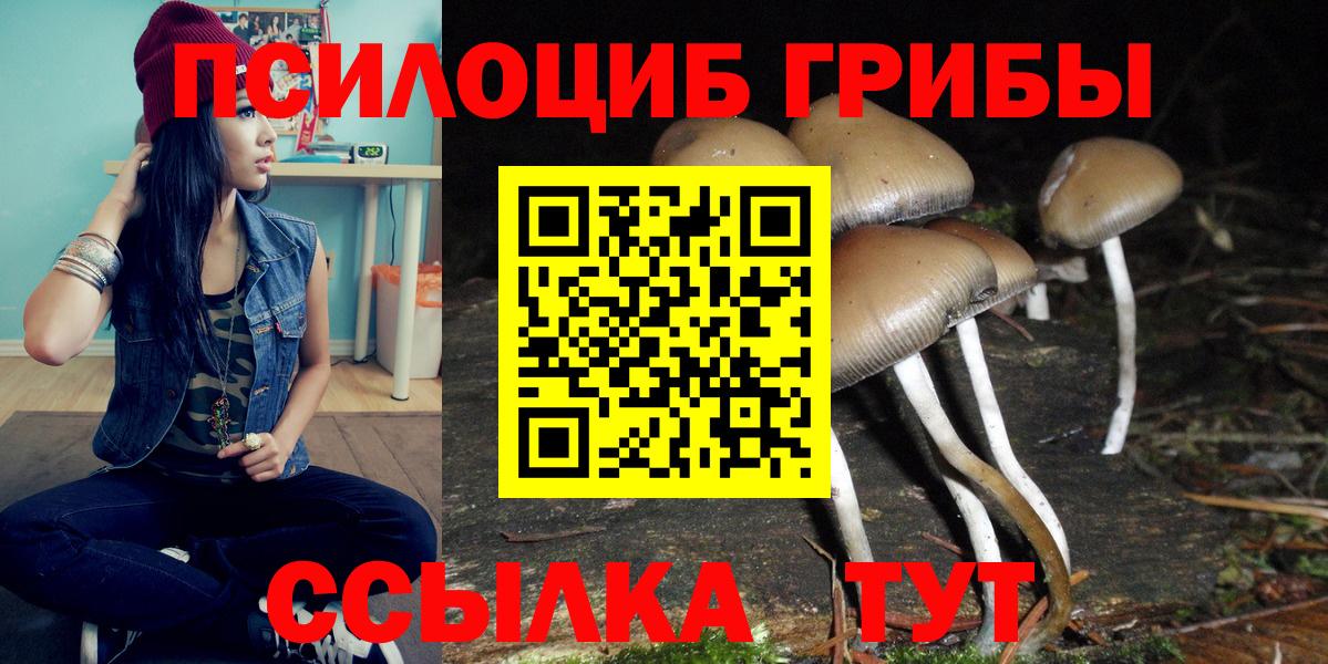 Галлюциногенные грибы мицелий Новоалтайск